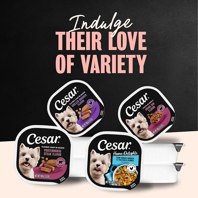 Cesar Classic Loaf in Sauce Adult Wet Dog Food with Duck, Oven Roasted Chicken, Grilled Chicken, and Turkey Recipes, 3.5 oz. Easy Peel Trays, Variety Pack (24 Count, Pack of 1)