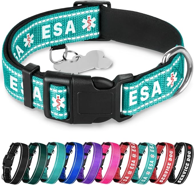 TECEUM Reflective Pet Collar – Teal - ESA – L – Extra Soft Padding – Basic Nylon Dog Collar – Quick Release Buckle – Fits Small, Medium and Large Dogs, Puppies, Cats – ESA & Service Dog Options