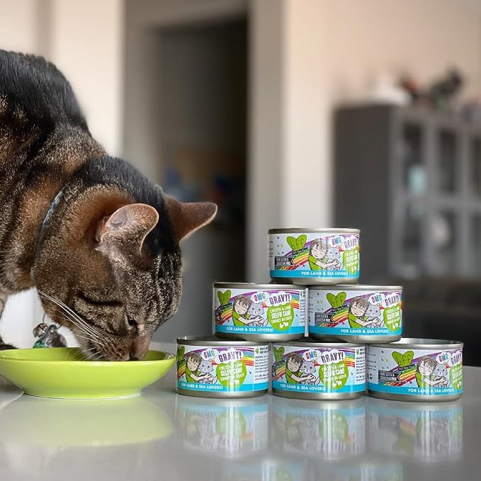 Weruva B.F.F. OMG - Best Feline Friend Oh My Gravy!,Variety Pack,Rainbow Road,Wet Cat Food by,2.8oz Can,(Pack of 24)
