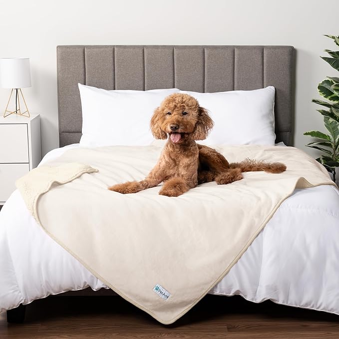 PETAMI Sherpa Fleece Waterproof CAT and Dog Blanket, Beige, Queen