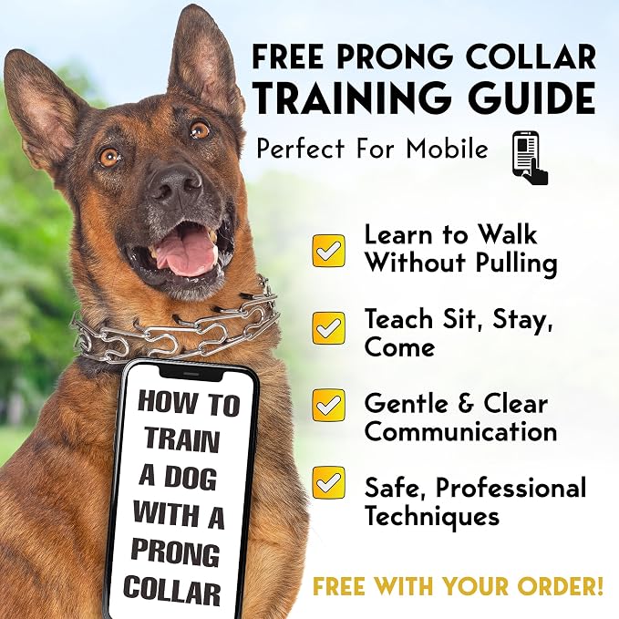 PetJett Prong Collar for Dogs - Adjustable Training Collar No Pull Choke Collar for Dogs, Pinch Collar for Dog, Walking Tool for Small, Medium, or Large Breed - Stainless Steel Metal Choker Chain