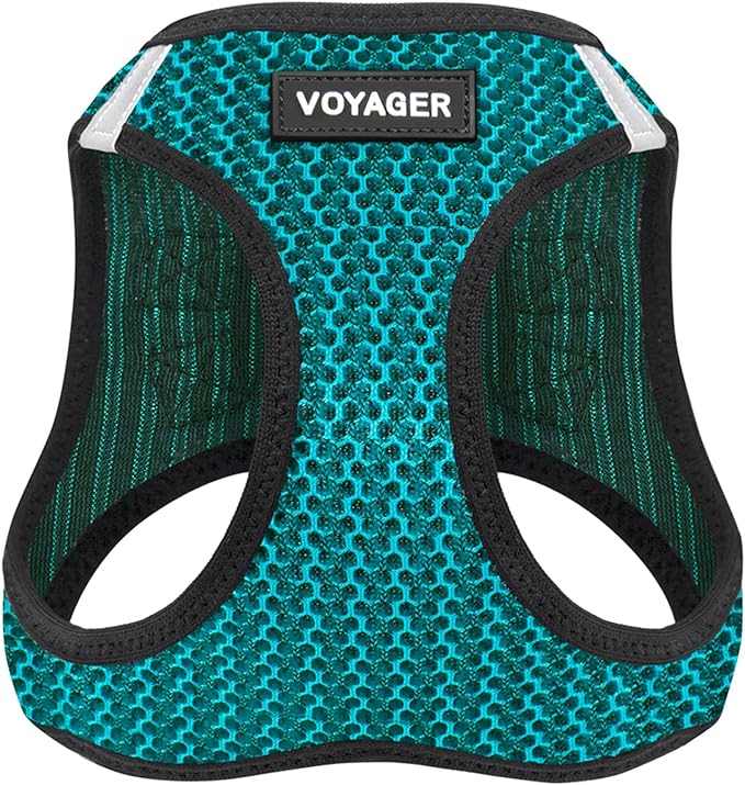 Best Pet Supplies - All Weather Mesh/Plush, Reflective, No Pull Harness for Small, Medium Dogs, Cats - Secure with Hook & Loop Fastener, Buckle, Double D-Rings - Turquoise 2-Tone, XL