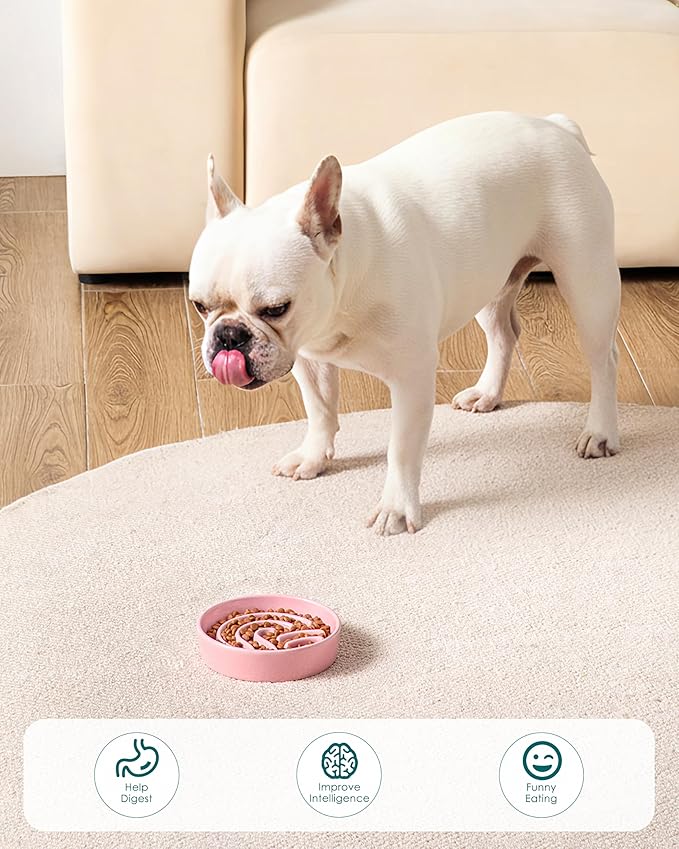 vancasso Slow Feeder Dog Bowl, 0.6 Cup Ceramic Slow Feeding Food Dish for Small Breed, Puzzle Dog Food Bowl for Fast Eater, Pink