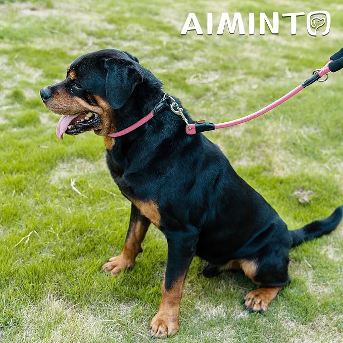 Dog Leash, Braided Rope Traction – Walking Training Lead for Medium/Large Dogs ((1/2") x 6FT, Pink)