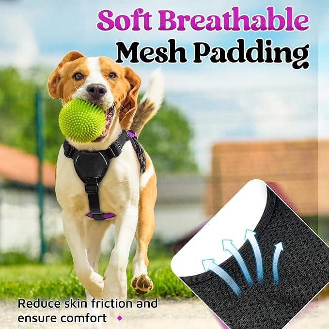 rabbitgoo Escape Proof Dog Harness, Soft Padded Full Body Pet Harness, Reflective Adjustable No Pull Vest with Lift Handle and Lesh Clip for Large Dogs Walking Hiking Training, S, Purple