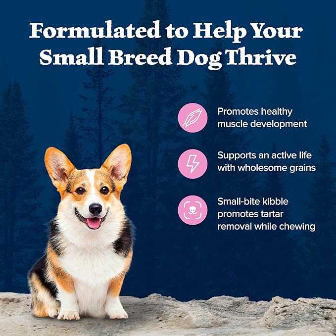 Blue Buffalo Wilderness Chicken Small Breed Adult Dry Dog Food with Wholesome Grains + Antioxidant-Rich Fruits & Veggies, 36g Protein, Supports High Energy Needs, Natural Ingredients, 4.5 lbs.