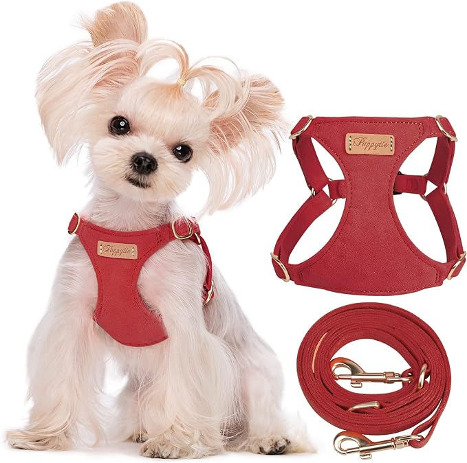 Puppytie xs Dog Harness with Multifunction Dog Leash,Soft Adjustable No Choke Escape Proof Pet Harness Vest,red Hawthorn,XS