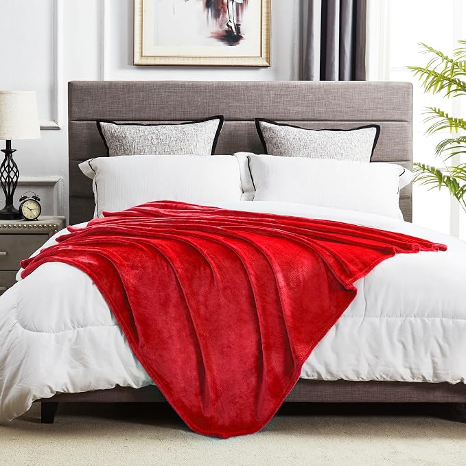 DREAMNINE Oversized Soft Fuzzy Flannel Fleece Throw Blanket Twin Size 60" x 80", Decorative Solid Lightweight Fluffy Velvet Bed Blankets, Luxury Big Cozy Shag Plush Microfiber Blanket for Bedroom, Red