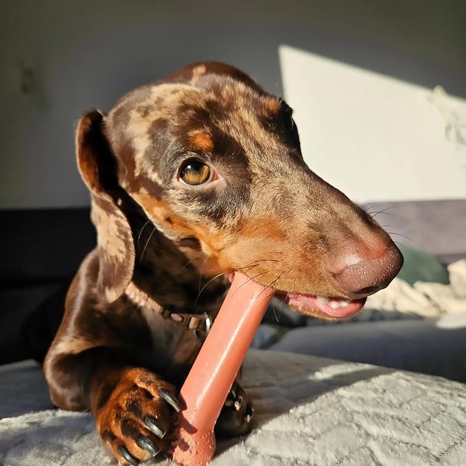 Nylabone Original Bone Power Chew Toy for Dogs, Durable Dog Toys for Aggressive Chewers, Basted Blast Bacon & Chicken Flavor, Medium - Up to 35 lbs, 2 Pack