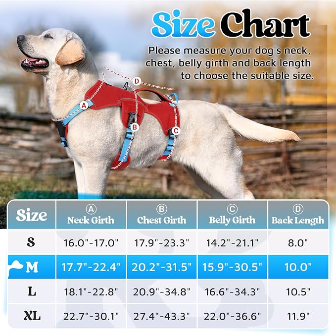 rabbitgoo Escape Proof Dog Harness Large Dogs, Soft Padded Full Body Pet Harness, Reflective Adjustable No Pull Vest with Lift Handle and Leash Clip for Walking Hiking Training, Blue & Red, M