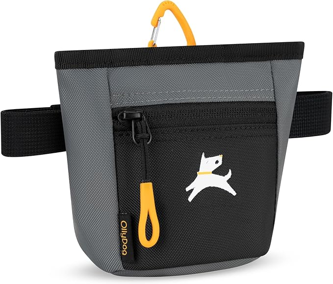 OllyDog, Goodie Treat Bag, Dog Treat Training Pouch | Magnetic Closure | 3 Ways to Wear | Hands-Free Waist Belt | Water-Resistant Recycled Vegan Fabric (Castle Rock)