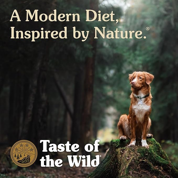 Taste of the Wild Ancient Stream All Life Stages High Protein Recipe with Smoke-Flavored Salmon & Ancient Grains Dry Dog Food 28lb