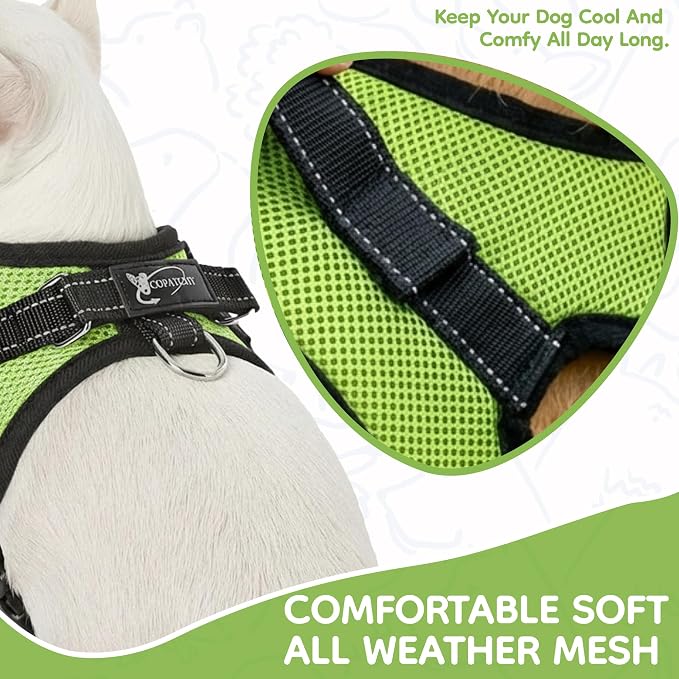 No Pull Reflective Adjustable Dog Harness with Handle- Comfortable Soft All Weather Mesh, Easy On Puppy Harness for Small Medium and Large Dogs (Green) X-Small