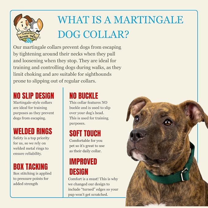 Country Brook Petz - Martingale Dog Collar - Heavy-Duty Training Collar with No Buckle - Service Dog Collar for All Pups - 20 Vibrant Colors (Green, 3/4 Inch, Small)