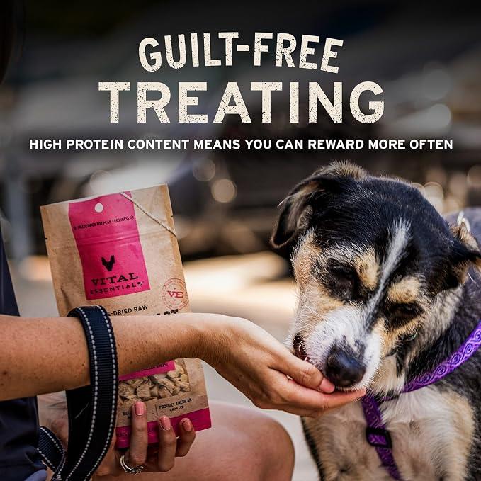 Vital Essentials Freeze Dried Dog Treats | Beef Bites, Single Protein | Premium Quality | Grain Free Training Treats for Dogs, 6.2 oz Bag