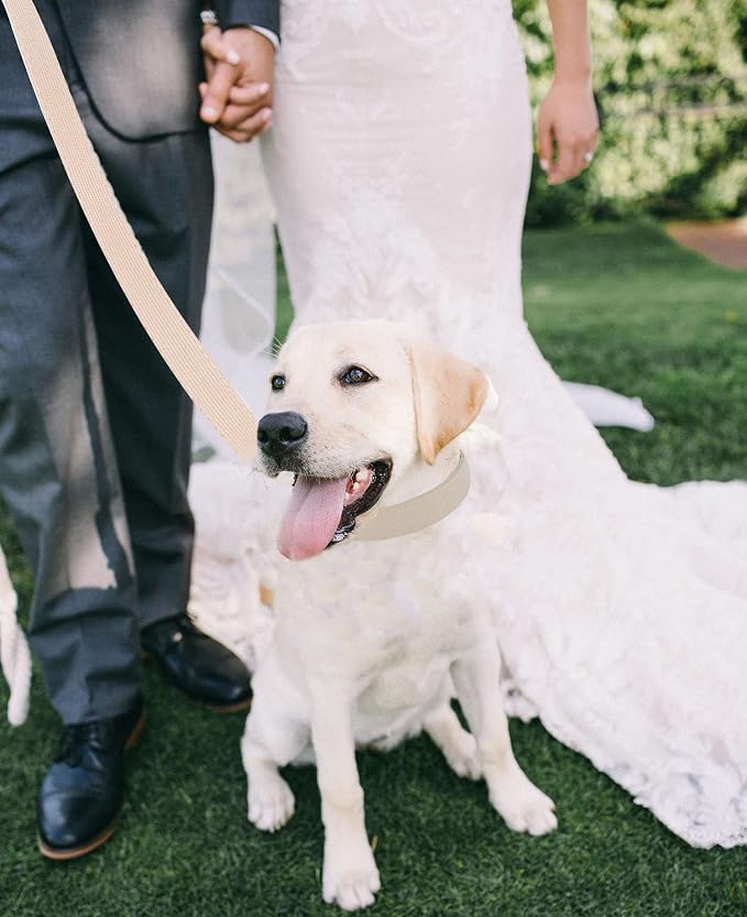 Soft Corduroy Dog Collar and Leash Set Adjustable Durable Wedding Dog Collars with Metal Buckle and Lead for Medium Dogs,Beige