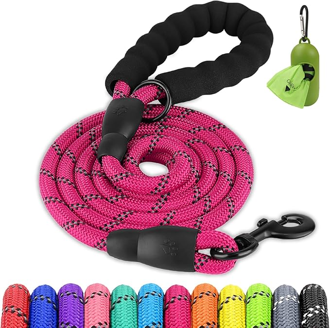 Joytale Dog Leash for Small Dogs, Heavy Duty Nylon Leashes with Comfortable Padded Handle and Highly Reflective Threads, Ideal for Walking and Training, Hotpink, 5'×3/8''