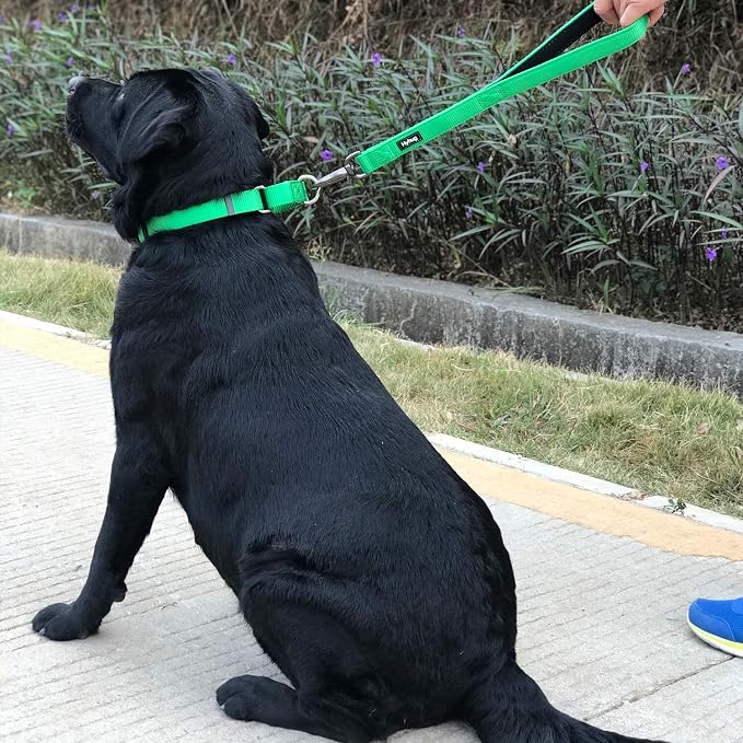 Hyhug Martingale Dog Collar Medium Green |Escape - Proof Heavy Duty Nylon Durable No Slip, Ideal for Training & Daily Walks