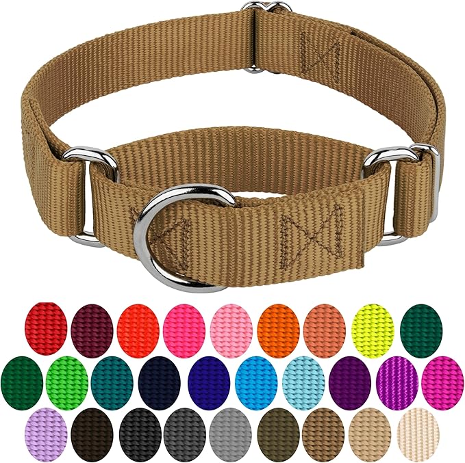Country Brook Petz - Martingale Dog Collar - Heavy-Duty Training Collar with No Buckle - Service Dog Collar for All Pups - 20 Vibrant Colors (Coyote Tan, 5/8 Inch, Extra Small)