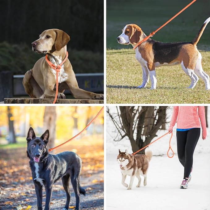 Lynxking Dog Leash Slip Lead Reflective Breathable Rope Comfortable Strong No Pull Slip On Pet Training Lead for Dogs (Orange, Large 1/2 inch x 6ft)