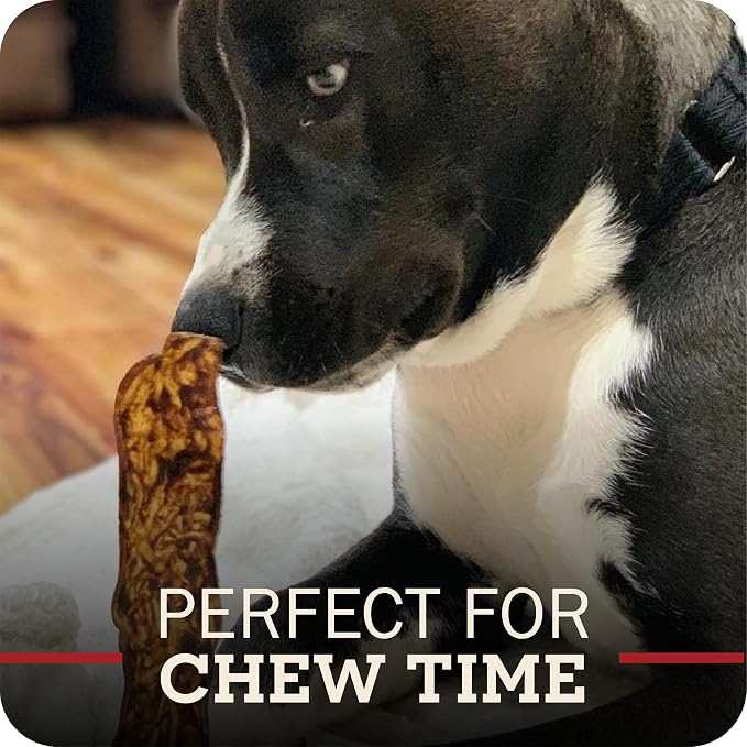 Redbarn Pet Products All-Natural Rawhide Bully Slices - Bully Stick Flavor - Premium Grain-Free Beef Hide Treats High Protein Low Fat for Chewers - 9 oz Bag