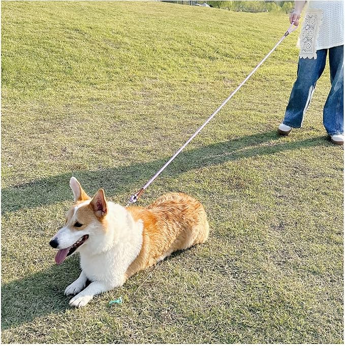 MayPaw 6/8 /10 FT Dog Leash, Classic Solid Colors, Strong Nylon Rope Dog Leash Reinforced with Leather Tailor Connection Heavy Duty Silver Clasp (Purple, 10ft*1/2")