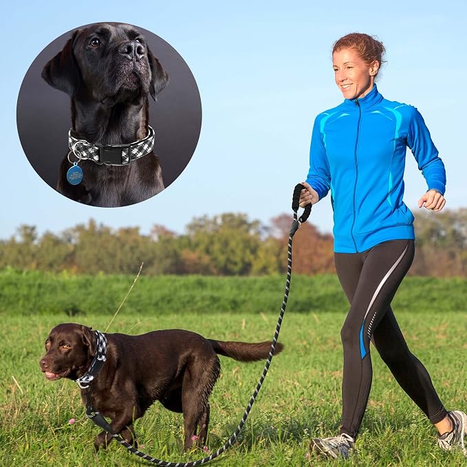 Ladoogo Reflective Dog Collar Padded with Soft Neoprene Breathable Adjustable Nylon Dog Collars for Small Medium Large Dogs (Medium (Pack of 1), Black Plaid Collar+Leash)