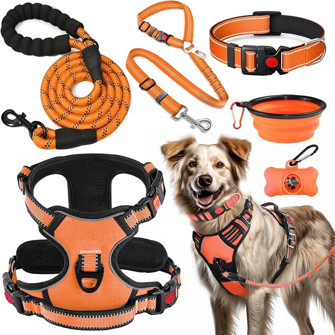 LOBEVE No Pull Dog Harness, Collar & Leash Set | Includes Dog Seat Belt, Collapsible Bowls & Poop Bag Dispenser. Ideal for Training, Walking, Hiking. Fits Small to Large Dogs(Orange-L)