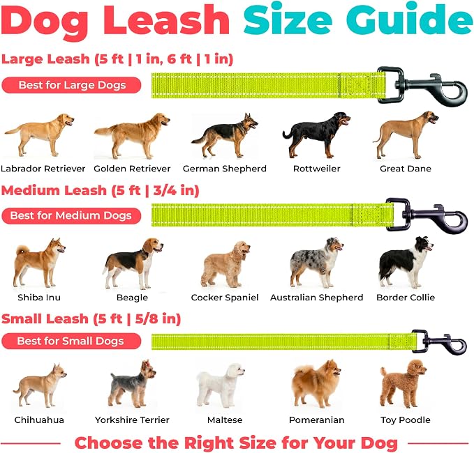 Best Pet Supplies Voyager Reflective Dog Leash or Collar with Neoprene Handle, for Small, Medium, and Large Breed Puppies, Cute and Heavy Duty for Walking, Running and Training - Lime Green (Leash), M