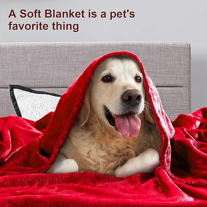 DREAMNINE Pack of 10 Fuzzy Soft Fleece Throw Blanket for Couch Sofa 50" x 60", Decorative Solid Lightweight Velvet Blankets for Chair, Cozy Accent Shaggy Plush Flannel Blanket for Bedroom, Red