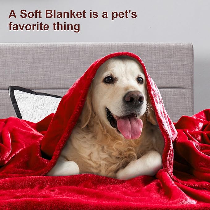 DREAMNINE Ultra Large Soft Fuzzy Flannel Fleece Blanket King Size 90" x 108", Decorative Solid Lightweight Fluffy Velvet Bed Blanket,Luxury Big Cute Cozy Shag Plush Microfiber Blankets for Bedroom,Red