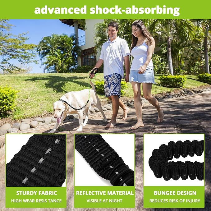 Rope Dog Leash 5 FT: Heavy Duty Leashes with Swivel Lockable Hook Reflective Threads Bungee and Padded Handle - Dog Lead for Large Small Medium Dogs Outside Walking Hiking Green