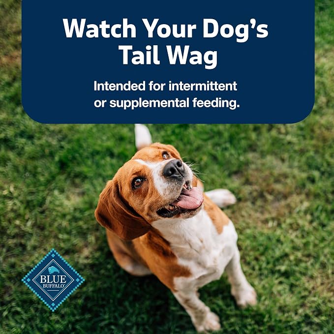 Blue Buffalo Beef Stix Pepperoni-Style Dog Treats, Soft & Meaty Dog Snacks Made in the USA with Real Beef & Natural Ingredients and Enhanced with Vitamins, Minerals, & Other Nutrients, 13 oz.