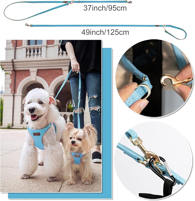 Puppytie Dog Harness with Multifunction Dog Leash,Soft Adjustable No Choke Escape Proof Pet Harness Vest for Medium Dogs or Large Dogs,Ocean Blue,M