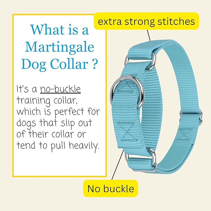 Country Brook Petz - Martingale Dog Collar - Heavy-Duty Training Collar with No Buckle - Service Dog Collar for All Pups - 20 Vibrant Colors (Ocean Blue, 3/4 Inch, Small)