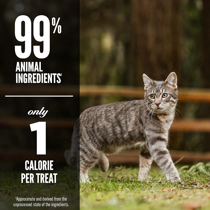 ORIJEN Tundra Freeze Dried Cat Treats, Grain Free Treats for Cats, WholePrey Ingredients, 1.25oz (Pack of 2)