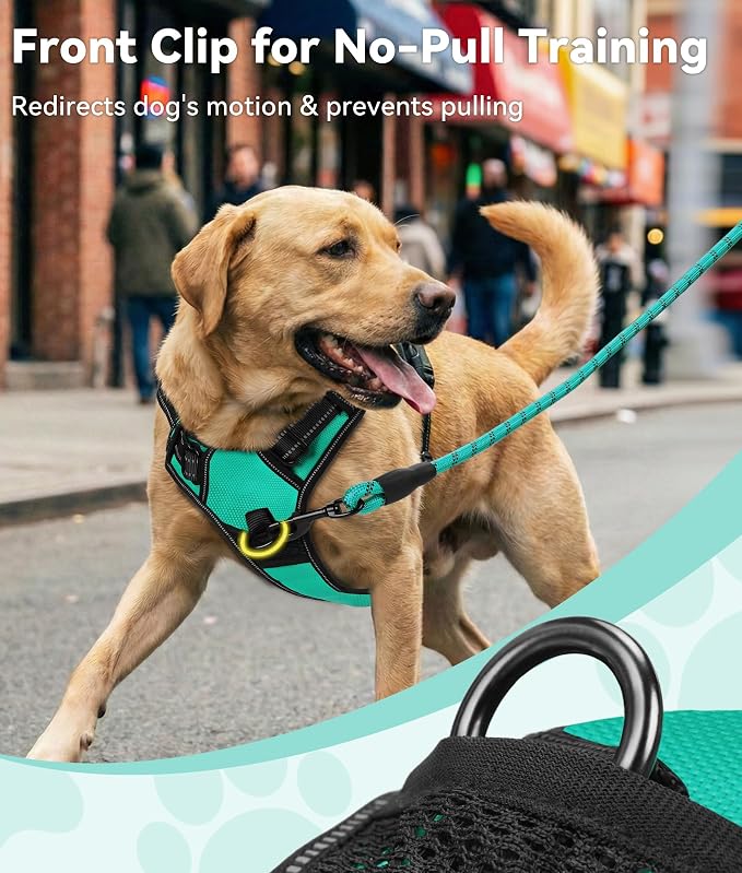 Joytale No Pull Dog Harness for Large Dogs, Reflective Pet Vest with Front Clip, Adjustable Soft Padded Harnesses with Easy Control Handle for Training and Walking, Teal, L