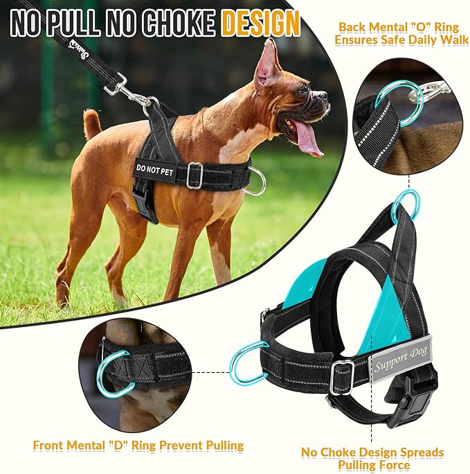 Lukovee No Pull Dog Harness and Leash Set - Adjustable Soft Padded Vest with Front Clip for Easy Control, Reflective Durable Harness for Safe Daily Training Walking for Medium Large Dogs (M, Black)