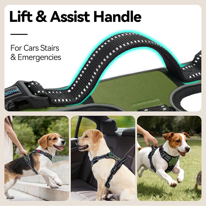 PHOEPET No Pull Dog Harness with Handle Front & Back Clip, Easy on Lockable Snap Buckle at Neck, Adjustable Reflective Vest with Handle for Small Medium Large Dogs (XS, Misty Green)