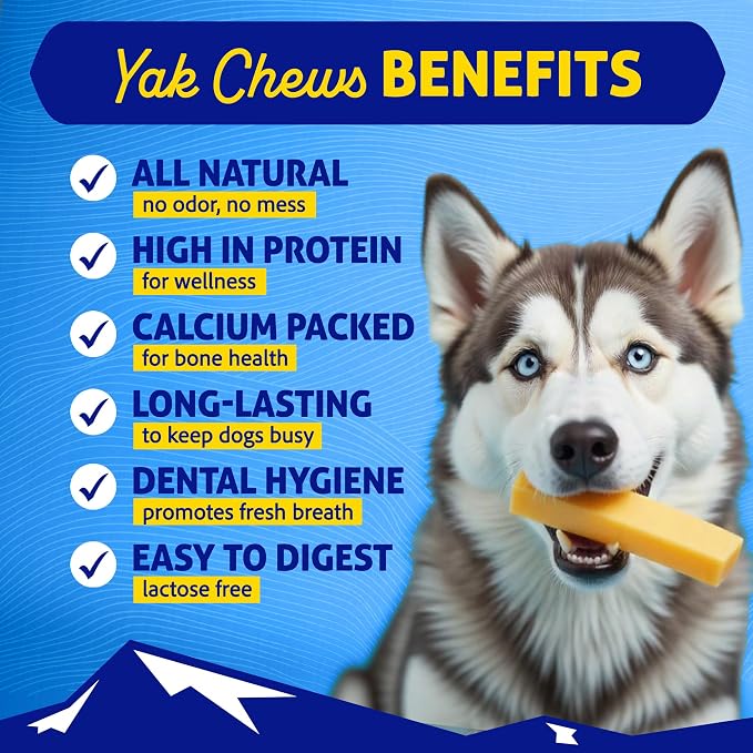 Himalayan Dog Chew Bacon Yak Cheese Dog Chews, The Better-for-You Chew, 100% Natural Long Lasting, Healthy Dog Treats, Lactose & Grain Free, Protein Rich, for Dogs 65 Lbs & Smaller, 4-Count