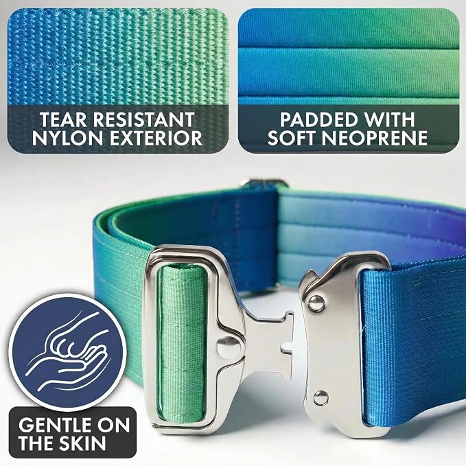 Spark Paws Tactical Dog Collar - Heavy Duty, Premium Quality, Thick and Durable for Large and Medium Dogs - Lime Wave - M