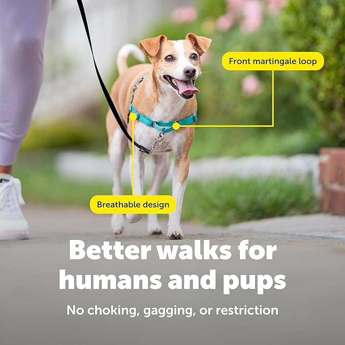 PetSafe Easy Walk No-Pull Dog Harness - Ultimate Harness to Help Stop Pulling - Pull-Free Walks - Take Control & Teach Better Leash Manners - Patented Martingale Loop Design - Teal, Small