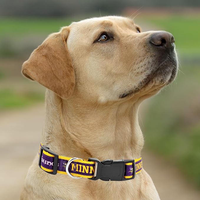 Pets First NFL Minnesota Twins Licensed PET COLLAR, Medium - Heavy-Duty, Strong, and Durable Dog Collar. Available in 31 Football Teams and 4 Sizes