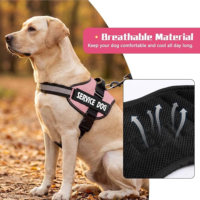 MUMUPET Service Dog Vest, No Pull Reflective Adjustable Harness with Handle, Soft Breathable Padding for Small Dogs, 2 Removable Velcro Patches (Pink, S)