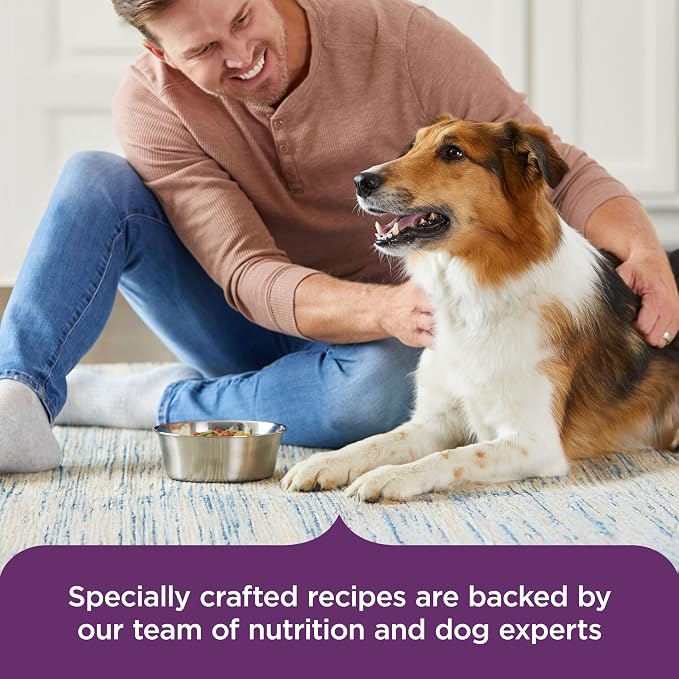 Nutrish Rachael Ray Wet Dog Food, Beef Stroganwoof with Green Beans, Tomatoes & Rice Pasta Recipe, 8 oz. Tub (Pack of 8)