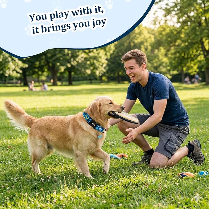 Dinosaur Dog Collar, Cute Boy Dog Collars for Small Medium Large Dogs, Blue with Dino Skeleton Print Soft Cotton Adjustable Puppy Collar, Male Dogs Pet Collar for Gifts & Daily Use-M