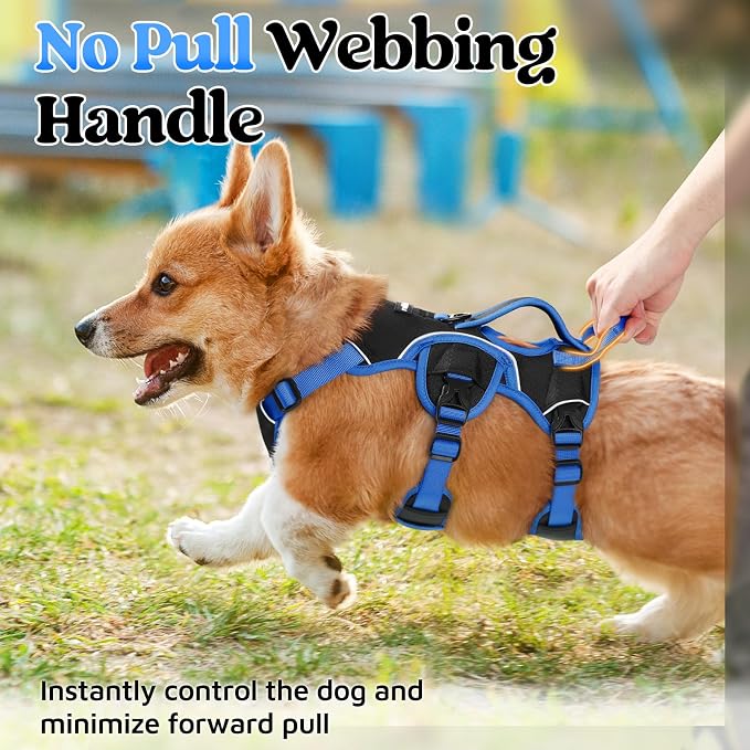 rabbitgoo Escape Proof Dog Harness Large Dogs, Soft Padded Full Body Pet Harness, Reflective Adjustable No Pull Vest with Lift Handle and Leash Clip for Walking Hiking Training, Blue & Black, S