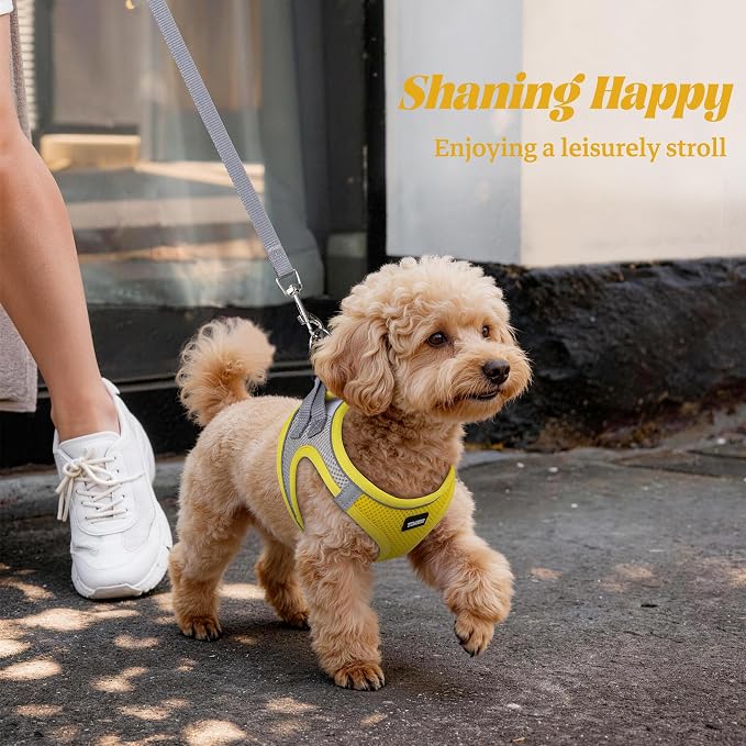 YIMEIS Dog Harness and Leash Set, No Pull Soft Mesh Pet Harness, Reflective Adjustable Puppy Vest for Small Medium Large Dogs, Cats (Yellowgrey, Medium (Pack of 1)