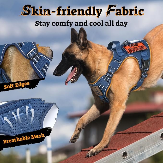 rabbitgoo Tactical Dog Harness for Small Dogs No Pull Adjustable Military Vest with Handle MOLLE Reflective Heavy Duty Dog Vest for Walking Training Hunting Outdoor Working Medium Size Dog Blue S
