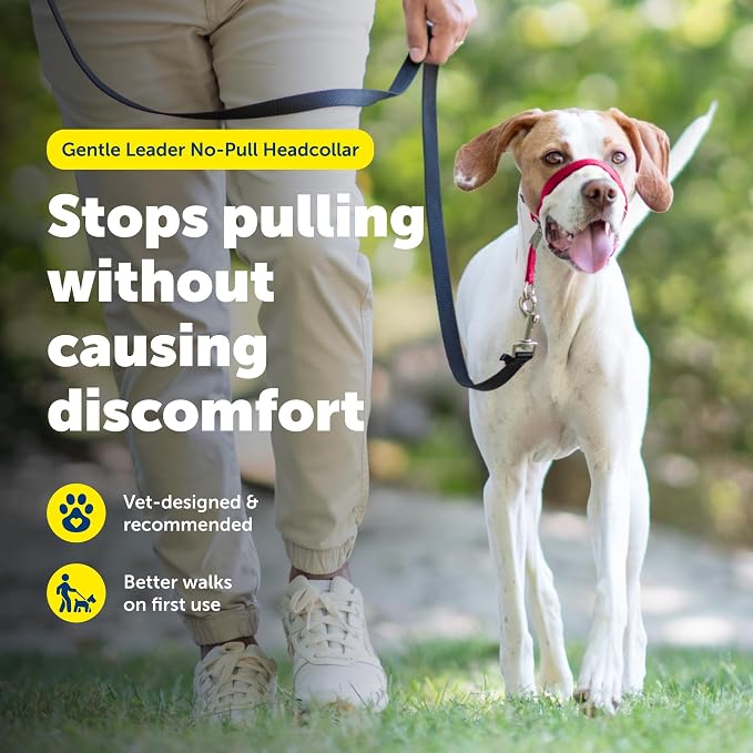 PetSafe Gentle Leader No-Pull Dog Headcollar - The Ultimate Solution to Pulling - Redirects Your Dog's Pulling for Easier Walks - Helps You Regain Control - Medium, Red